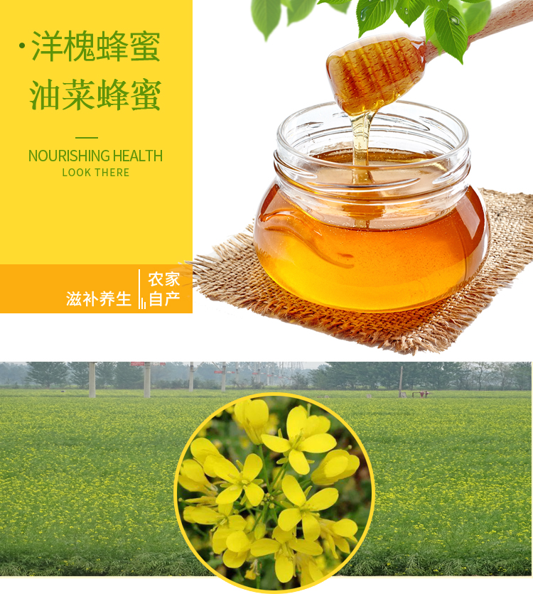 洋槐蜂蜜-详情页_01.jpg
